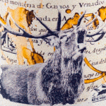 Venado